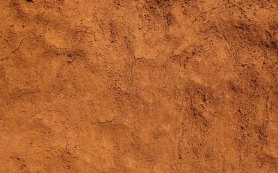 1B8A0183-min