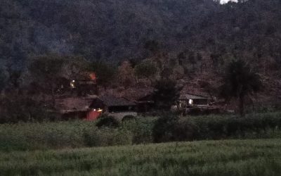 Photo from Sabah(1)-min